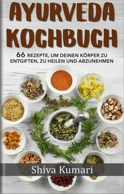 coockbook book cover